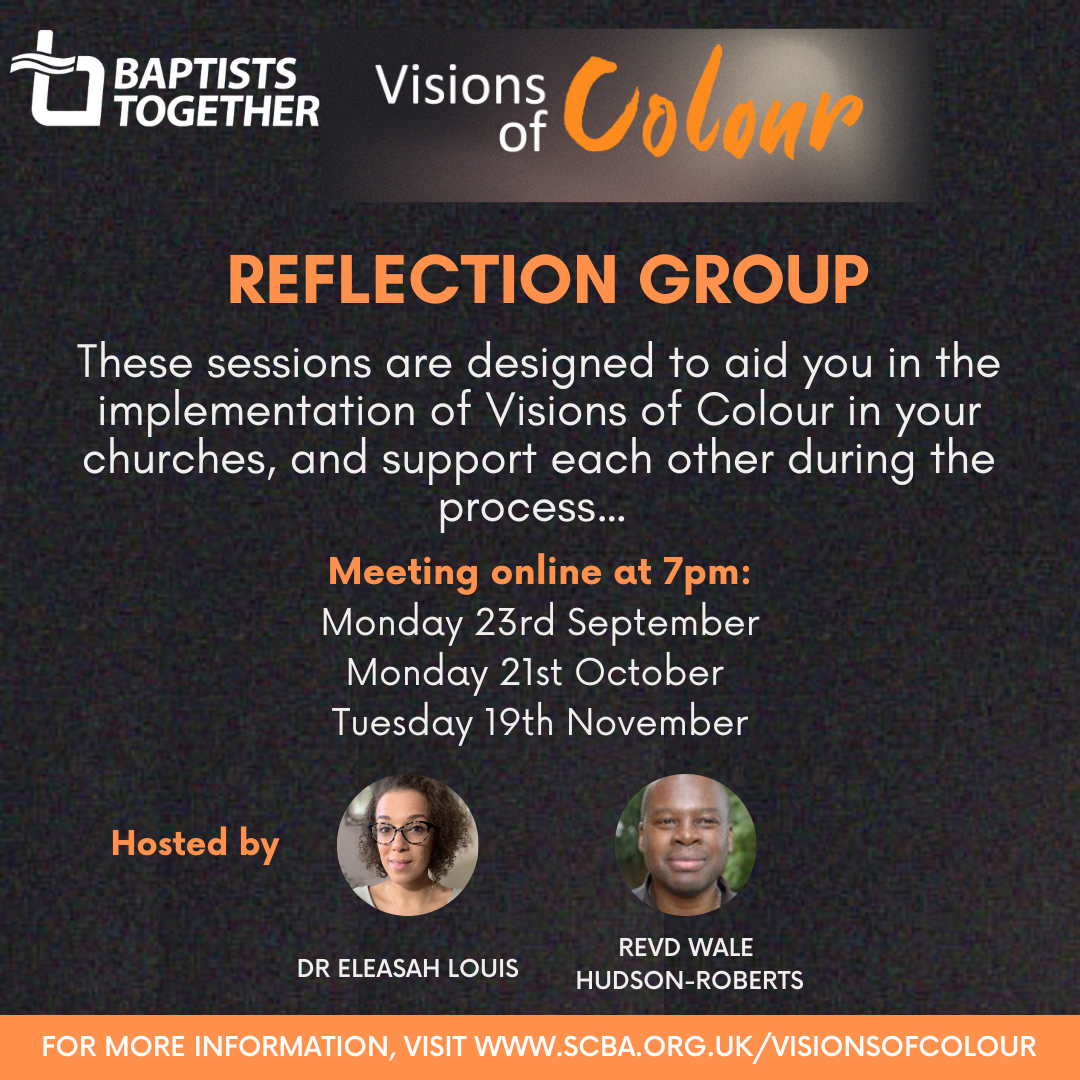 Visions of Colour Online Event